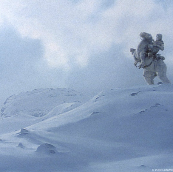 Meet your Posher, Marissa - Picture 1 of 1